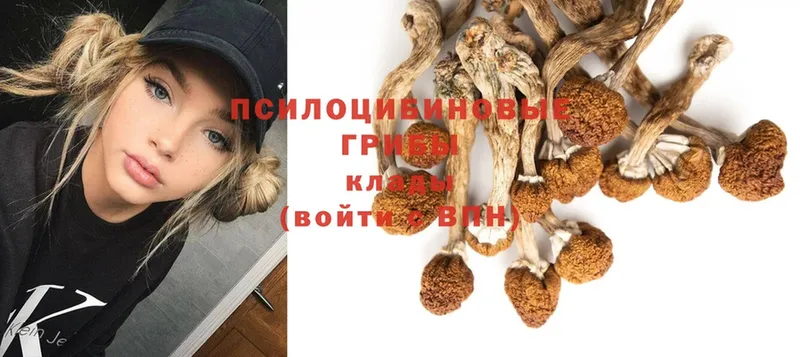 Псилоцибиновые грибы Psilocybine cubensis  купить наркотики сайты  Калуга 